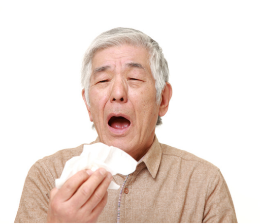 Senior seasonal allergies